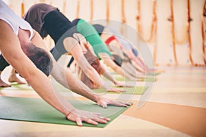 Group of people doing yoga downward facing dog pose on mats at studio