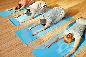 Group of people doing yoga exercises at studio