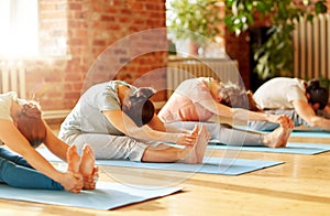 group of people doing yoga forward bend at studio