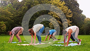 Group of people doing yoga at summer park