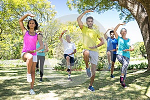 Group of people exercising in the park