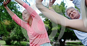 Group of people exercising together in the park