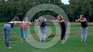 Group of people exercising yoga outdoor.