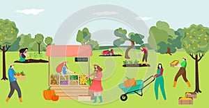 Group of people farmer together harvest season crop, farmworker sell organic food, vegetables flat vector illustration.