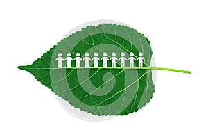 Group of people figure icon standing on green mulberry leaves. They holding hands together.