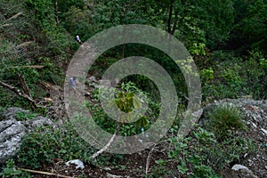 Group of people going down,trekking, from the famous neer garh Waterfall, Rishikesh, Uttarakhand India