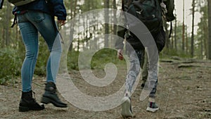 Group of people hiking in a forest