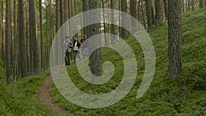 Group of people hiking in a forest