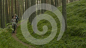 Group of people hiking in a forest