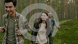 Group of people hiking in a forest