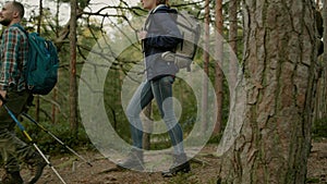 Group of people hiking in a forest