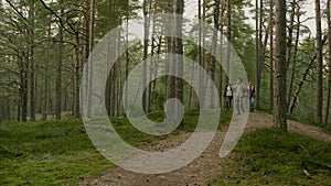 Group of people hiking in a forest