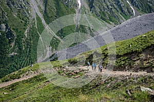 A group of people are hiking in the mountains in summer.
