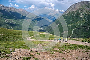 A group of people are hiking in the mountains in summer.