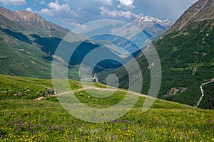 A group of people are hiking in the mountains in summer.