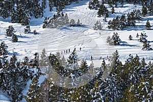 Group of people hiking on snow in mountains. Huskey sleigh ride, Andorra