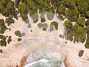 A group of people on a lonely beach from above