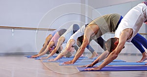 Group of people performing yoga