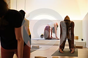 A group of people are practicing ustrasana or camel yoga pose in a room.