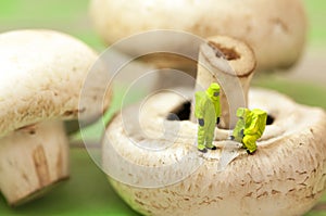 Group of people in protective suit inspecting a mushroom