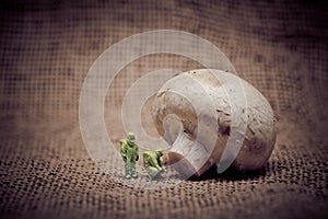 Group of people in protective suit inspecting a mushroom. Genetically modified food concept. Toned image