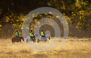 Group of people riding horses