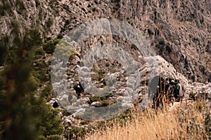 Group of people seen from behind hiking above the city of Omis, going towards the Fortica castle. Cold autumn day, following a