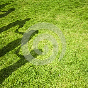 Group people shadow on green grass