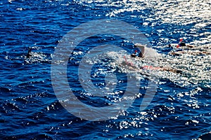 Group of people snorkeling with dolphins in Red sea, Egypt