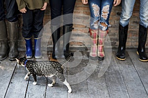 Group of people standing in a row with a cat and copy space on wooden floor