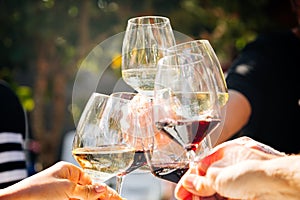 Group of people toasting with red and white wine outdoors