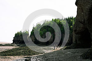 Group of people walking along Hopewell Rocks