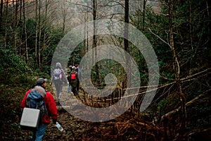 Group of people walking with backpacks in the dark forest