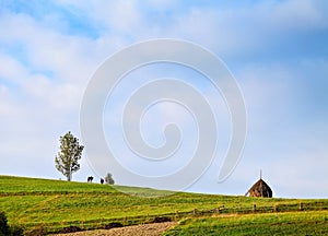 Group of people walking on green hill