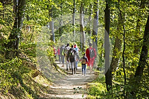 Group of people walking by hiking trail