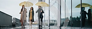 Group of people walking with umbrellas on rainy city street reflecting on wet surface.