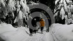 Group of people walkingin snow at night on countryside in winter, family spending time together outdoor
