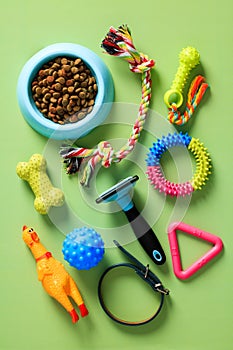 Group of pet accessories, bowl of dry feed, toys, grooming equipment on green table. Flat lay, top view, overhead