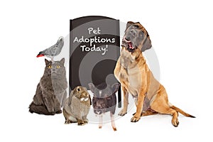 Group of Pets Around Adoption Event Sign