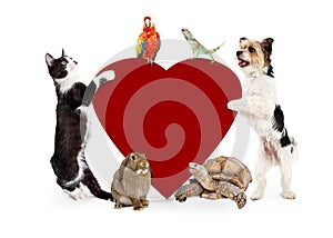 Group of Pets Around Valentines Heart