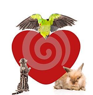 Group of pets together with big red heart . Space for text. isolated