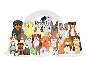 Group of pets photo