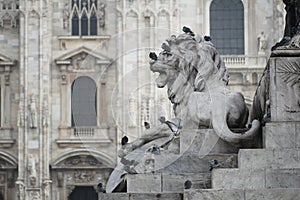 Group of Pigeons on Lion head statue at Piazza Duomo of Milano Italy, dirty from bird pooping shit on attractive sculpture art