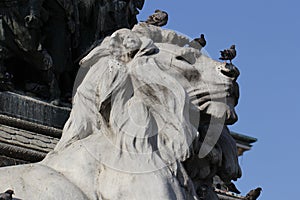 Group of Pigeons on The marvellous lion statue at Piazza Duomo of Milano Italy, dirty from bird pooping shit