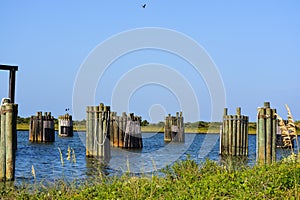 Group of pilings