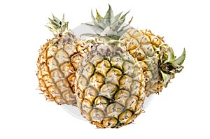 Group of pineapples isolated on white background : Clipping path