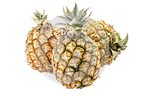 Group of pineapples isolated on white background : Clipping path photo