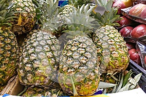 A group of pineapples in a tray at the market. Sale of fruits in the store