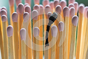 Group of pink matches and a burned match, burnout abstract concept