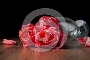 Group of pink roses put in champagne glass that falling on dark color wooden table